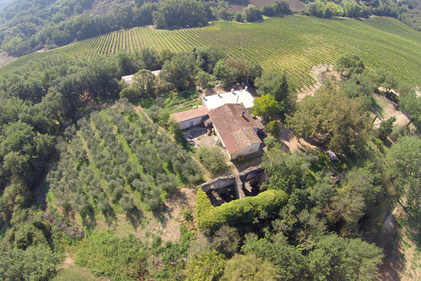 Podere Grecchi Winery