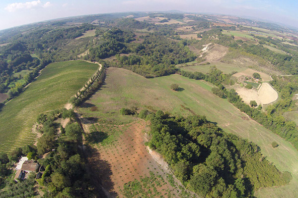 Podere Grecchi Winery covers 11 hectares