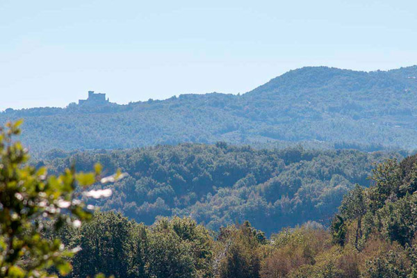View of the Castello di Soriano nel Cimino (VT) from the Grecchi vineyards